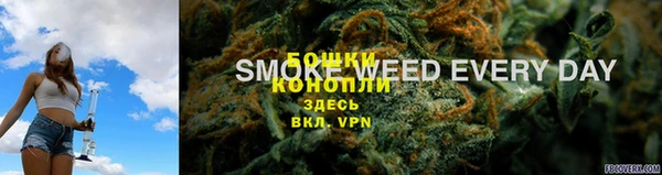 прущие грибы Алзамай