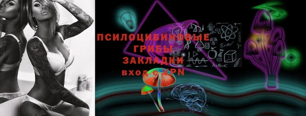 круглые Аркадак