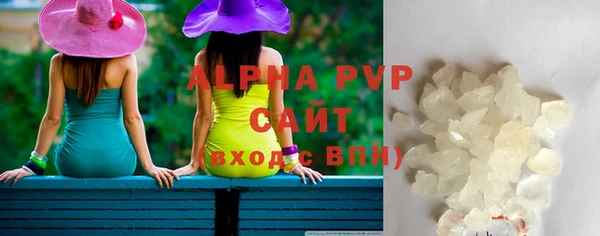 прущие грибы Алзамай