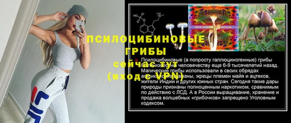 мет Арсеньев