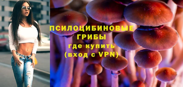 круглые Аркадак