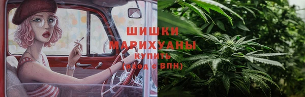 прущие грибы Алзамай